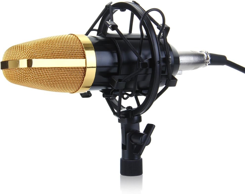 Floureon BM-700 Cardioids Condenser Microphone Mic For Studio Recording Live Etc w/ Shock Mount Stand High Output Low Noise Black
