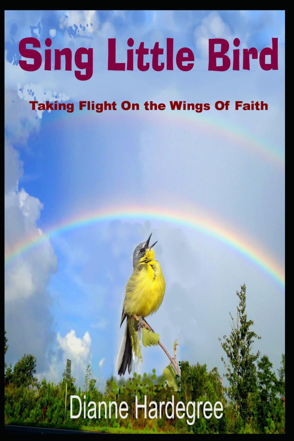 Sing Little Bird: Taking Flight On the Wings of Faith