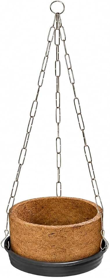 Vaso Pendente Fibra de Coco N2 Jiboia Samambaia Orquídea Hera Corrente de Metal e Bandeja Coletora Decorativo Premium