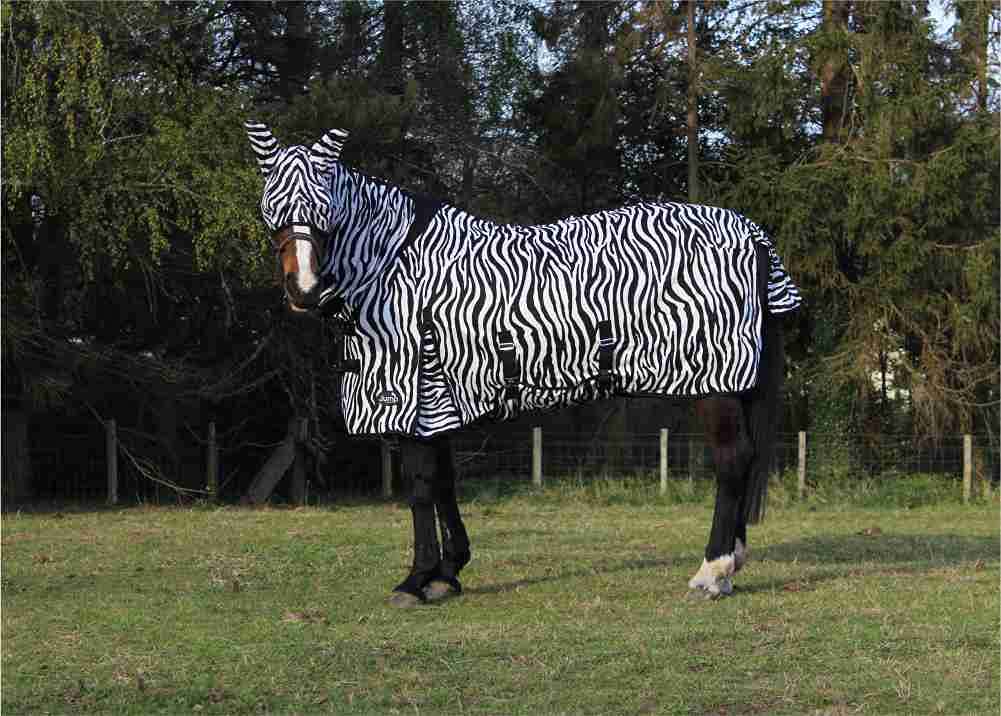 Jump Equestrian Horse Fly Rug Zebra Print Full Neck All in One with Belly and Tail Flap Elastic Neck with Free Fly Mask (5'6")