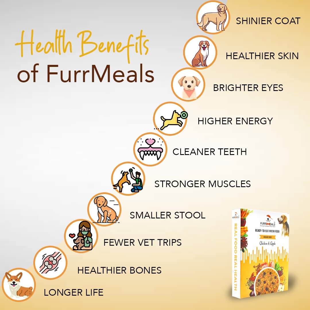FurrMeals Wet Dog Food | Chicken and Apple | Grain Free | Pack of 1 x 300g | All Breed | Preservative Free | Ready-to-Eat Fresh Dog Food,All Life Stages 2
