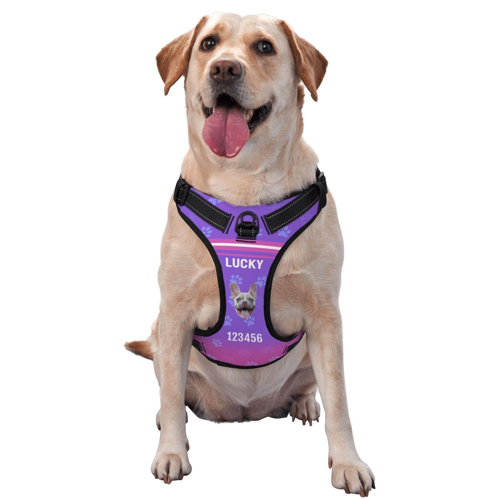 Personalised No Pull Dog Harness Leash Set with Name Phone Number - Custom Dog Vest, No-Pull Adjustable Reflective Pet Harness for Small Medium Large Dogs (S-XL)