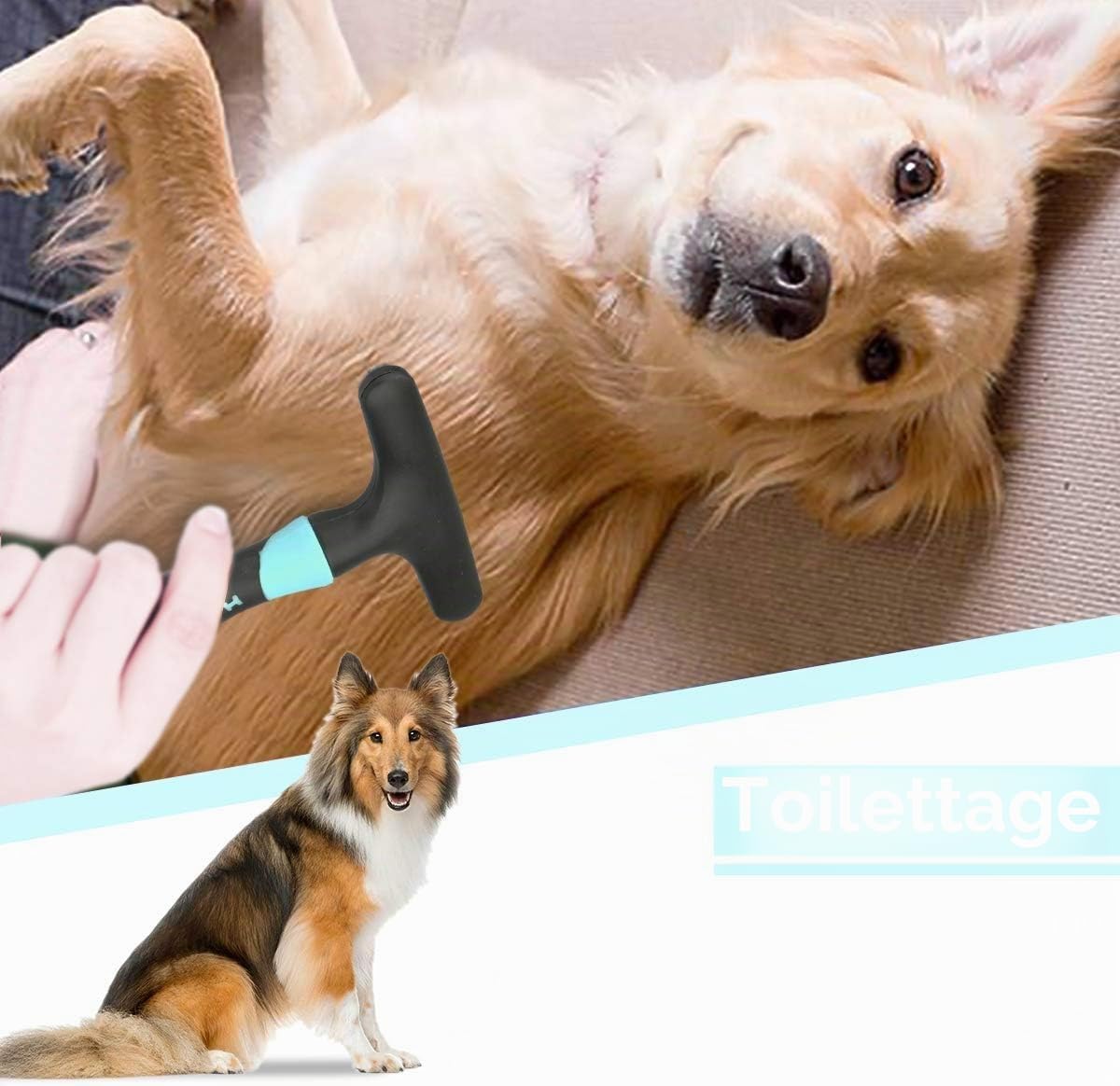 Râteau à sous-poils pour chien, brosses pour perte de poils, peigne pour enlever les poils courts ou longs, peigne de toilettage pour animaux de compagnie, double rangée d'épingles en acier