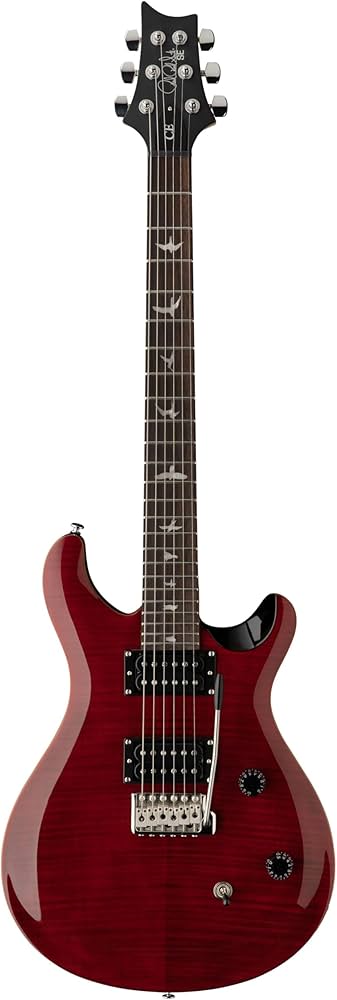 ギター Paul Reed Smith SE CUSTOM24 Black Cherry Amazon.com: PRS Guitars 6 String SE CE 24 Electric Guitar