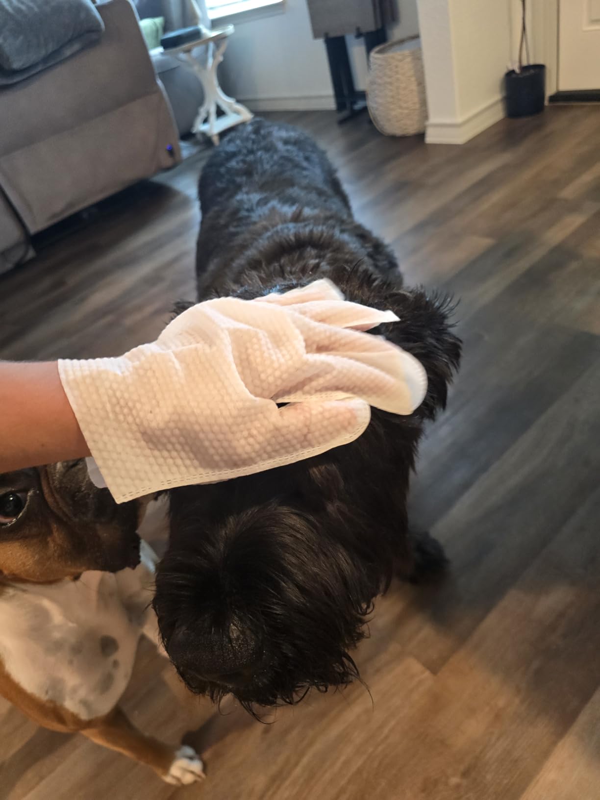 Photo from Susan's review