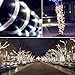 Aluvee Solar Rope String Light 33ft 100L 8 Modes Waterproof Outdoor LED Copper Wire Lights for Garden Decor Lamp Wedding Party Tree Xmas Halloween Holiday Decoration Lighting (White)