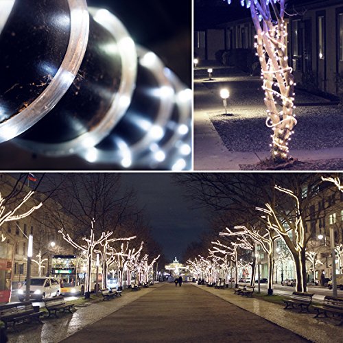 Aluvee Solar Rope String Light,Garden Decoration Outdoor Waterproof Rope String Christmas Lamp Wedding Party Tree Xmas Decoration Tree Xmas (33ft/100LED,White + PVC Tube)