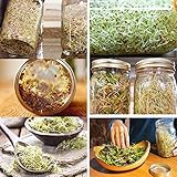 Zoom IMG-2 ohhgo spro 2 coperchi per Zoom IMG-2 ohhgo spro 2 coperchi per