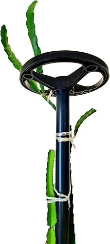 Dragon Fruit Trellis Tower Jaula para plantas Cactus Soporte para escalada 60 pulgadas gris programación 40