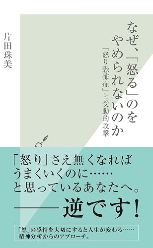 なぜ、「怒る」のをやめられないのか~「怒り恐怖症」と受動的攻撃~ (光文社新書)
