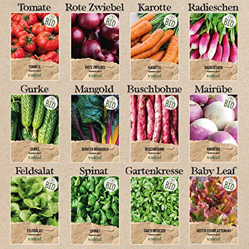 valeaf BIO Gartenjahr Samen Set I Gemüsesamen das ganze Jahr I 12 Monate Samen Gemüse I Gemüsesamen Set für Hochbeet… – Bild 5