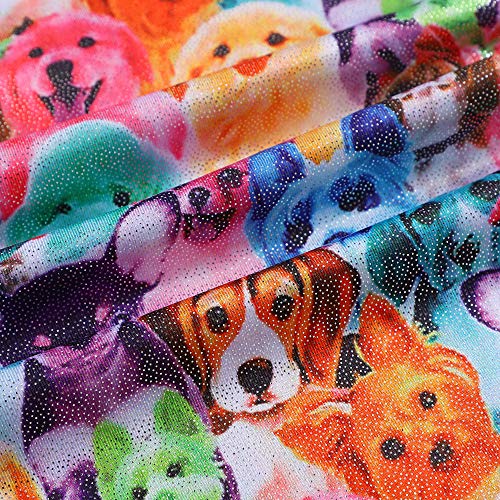 Image of HOZIY Gymnastics Leotards for Girls Unicorn Aurora Rainbow Mermaid Dinosaur Cupcake Sparkle Biketard Toddlers Kids Children