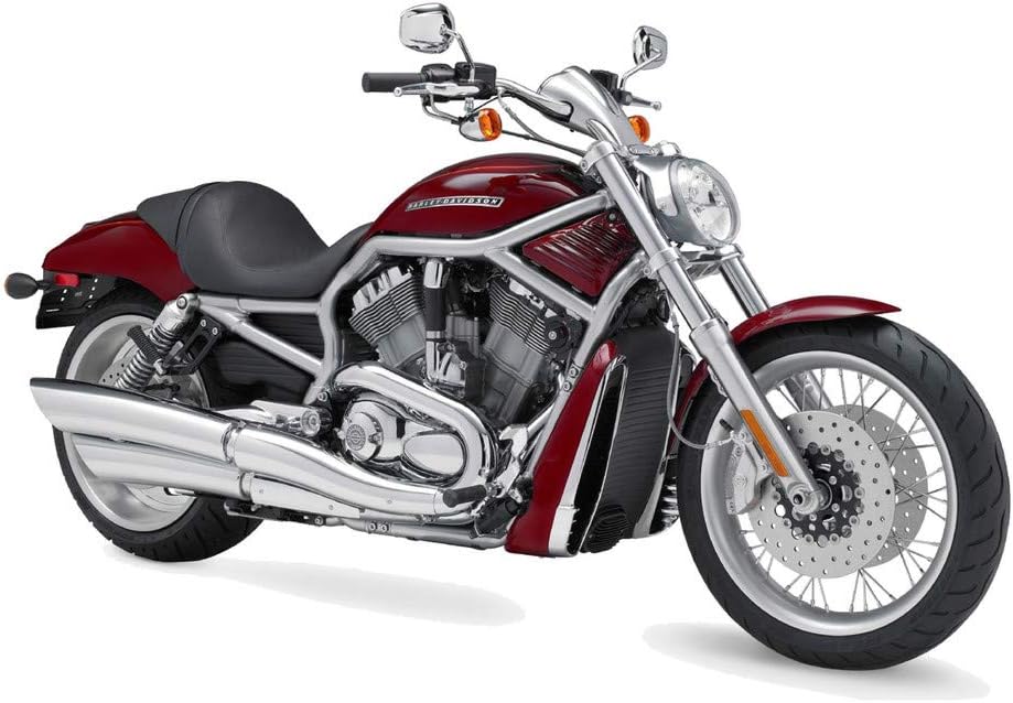 DivineDesigns™ Harley Davidson Wall Sticker (Size :- 76 X 53 cm) | Wall Sticker for Living Room/Bedroom/Office and All Decorative Stickers