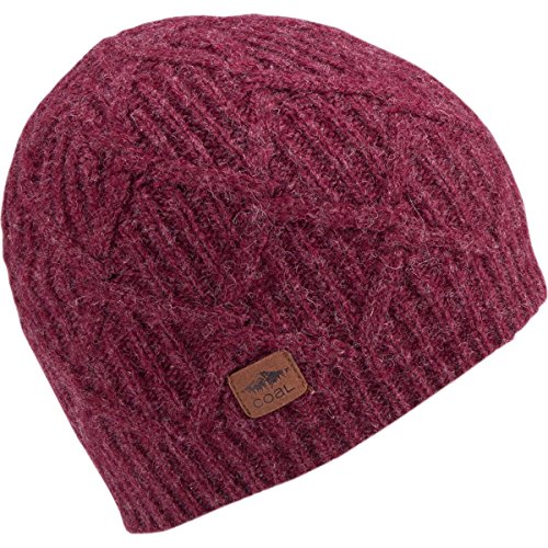 Coal Men's The Yukon Chunky Knit Warm Beanie Hat