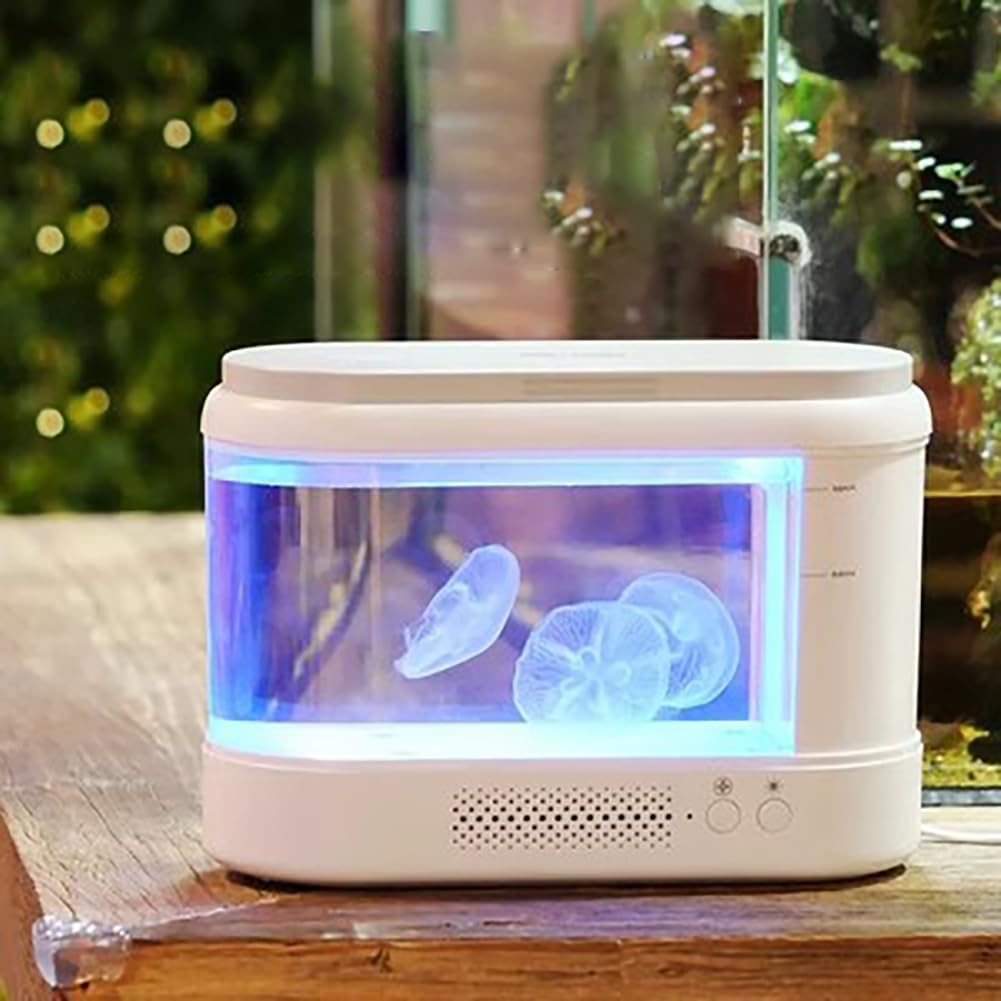 Acrilico Betta BASCHE di Betta, Mini Acquario Completamente Chiuso per Pesce Pesce Betta/Pesce Rosso/Pet Fish, Tavolo Desktop Top Kit di Serbatoio di Piccoli Pesci