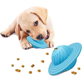 dog food puzzle feeder