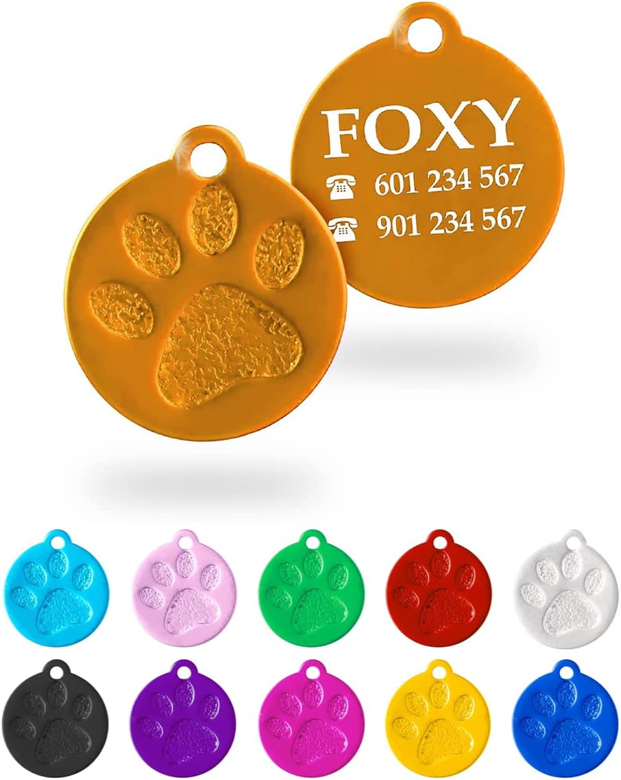 Ibera gifts – Chapa Identificación Redonda Personalizada para Perros y Gatos Pequeños a Medianos – con huella – Placa Identificativa Mascota Grabada y Personalizadas con Nombre para Collar (Dorado)