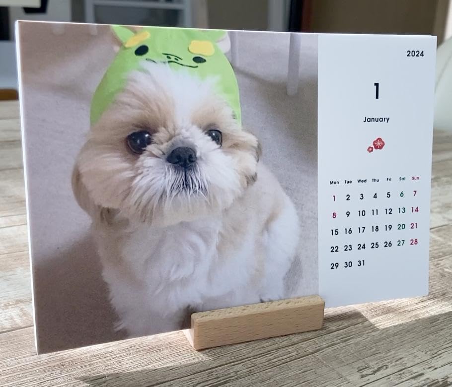 Amazon.co.jp: シーズー犬 まるちゃん 卓上カレンダー 2024 19