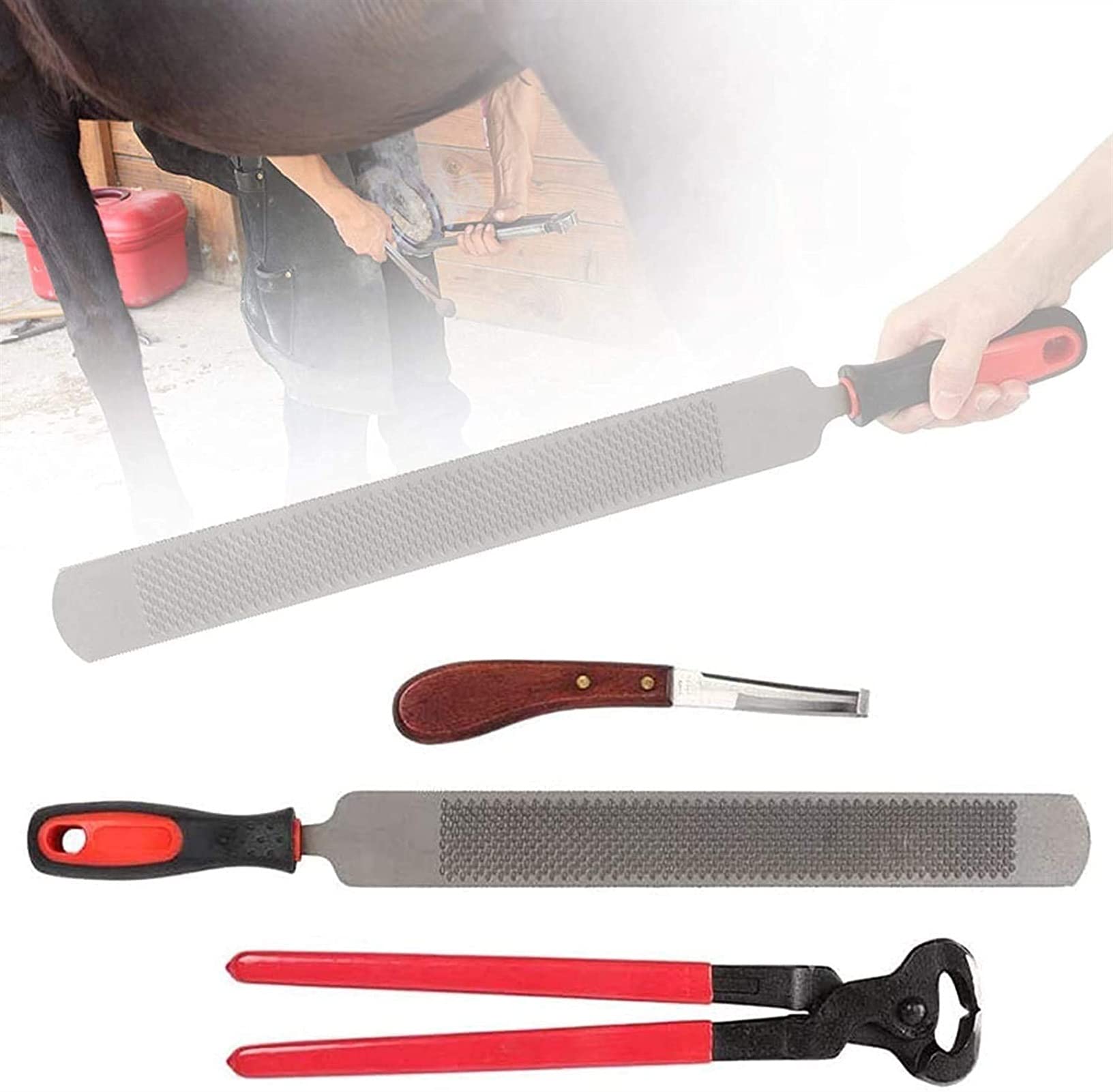 Kit di Attrezzi per rifinire Gli Zoccoli 4 Pezzi Tronchese per Zoccoli per impieghi gravosi con impugnature, Kit per Zoccoli di Cavallo Tronchesi Manico per raspa Cavalli in Miniatura Trimmer per zo