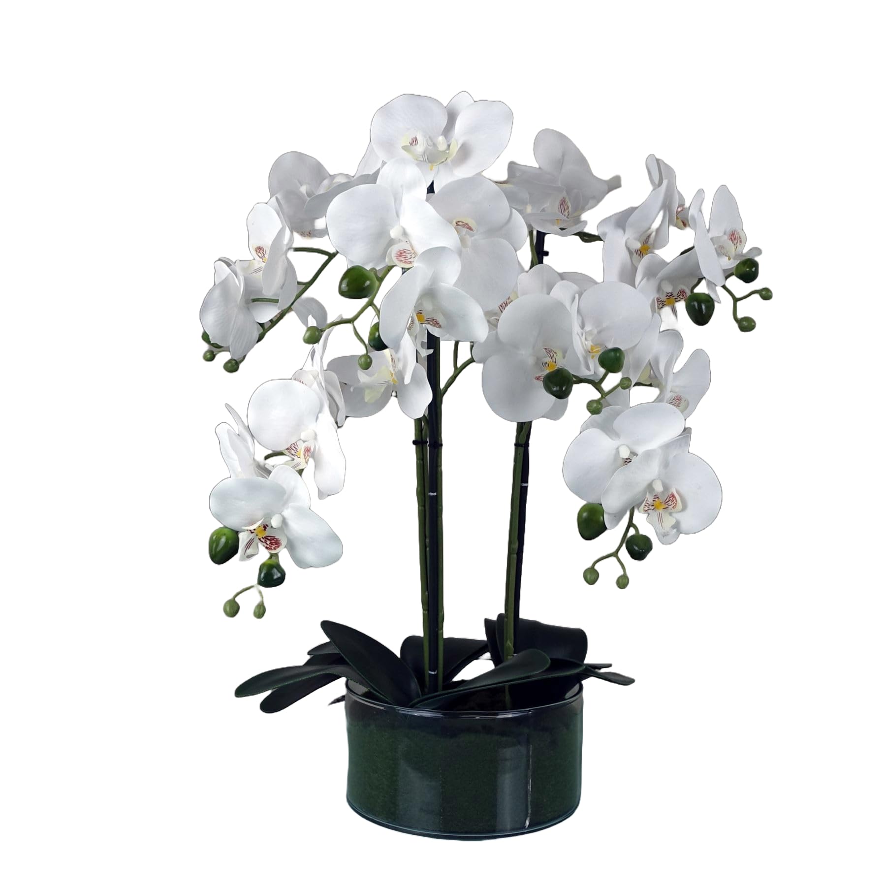 Artificial Orchid With Glass Planter - White - 50cm - Botanik