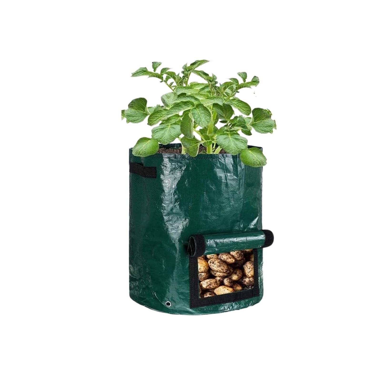 HWJFDC Potato Growing Bags Planting Bag Grow Accessories Bags For Plants Gardening Potato Vegetable Culture Garden Compost Indoor Cultivation Plant Pots(5 Gallon Green,1PCS)