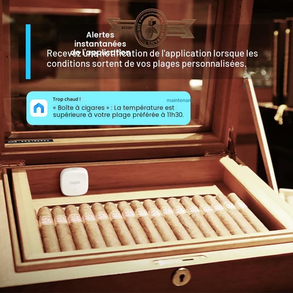 Tapo Hygromètre intelligent, thermomètre et hygromètre, stockage de données gratuit, notifications en temps réel, batterie incluse, fonctionne avec Alexa et Google Home, concentrateur Tapo requis