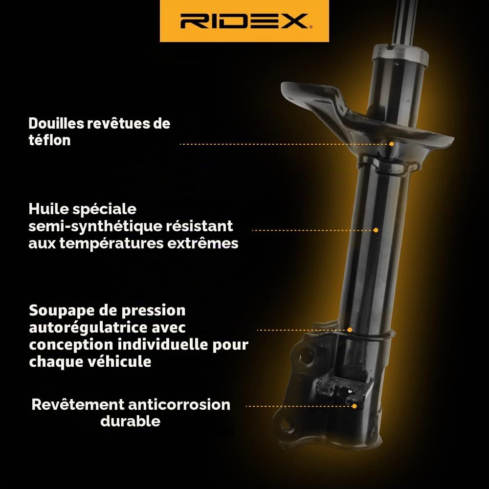 RIDEX 2x Amortisseur Avant Pression de gaz Compatible avec RENAULT Scénic 3 JZ0/1 Grand Scénic 3 JZ, JZ0/1 Fluence L3 Scénic 3 VAN JZ0/1