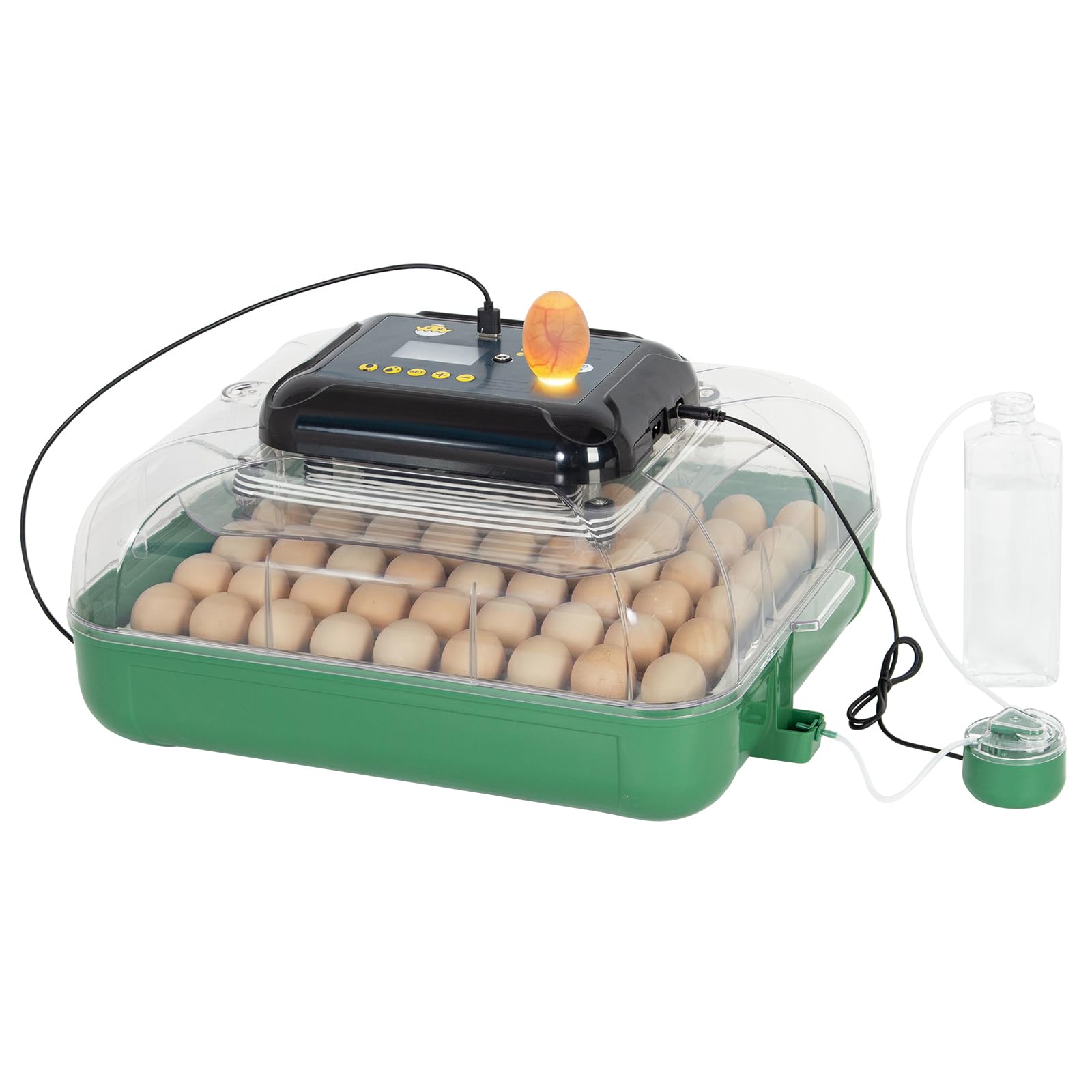Todeco Incubateur Automatique 53 Œufs, Température & Humidité Réglables