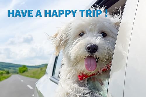 Miniatura 6 de BYGD Asiento elevador para mascotas, con 12 tubos de soporte de PVC mejorados y correa de seguridad con clip, cesta de automóvil transpirable y