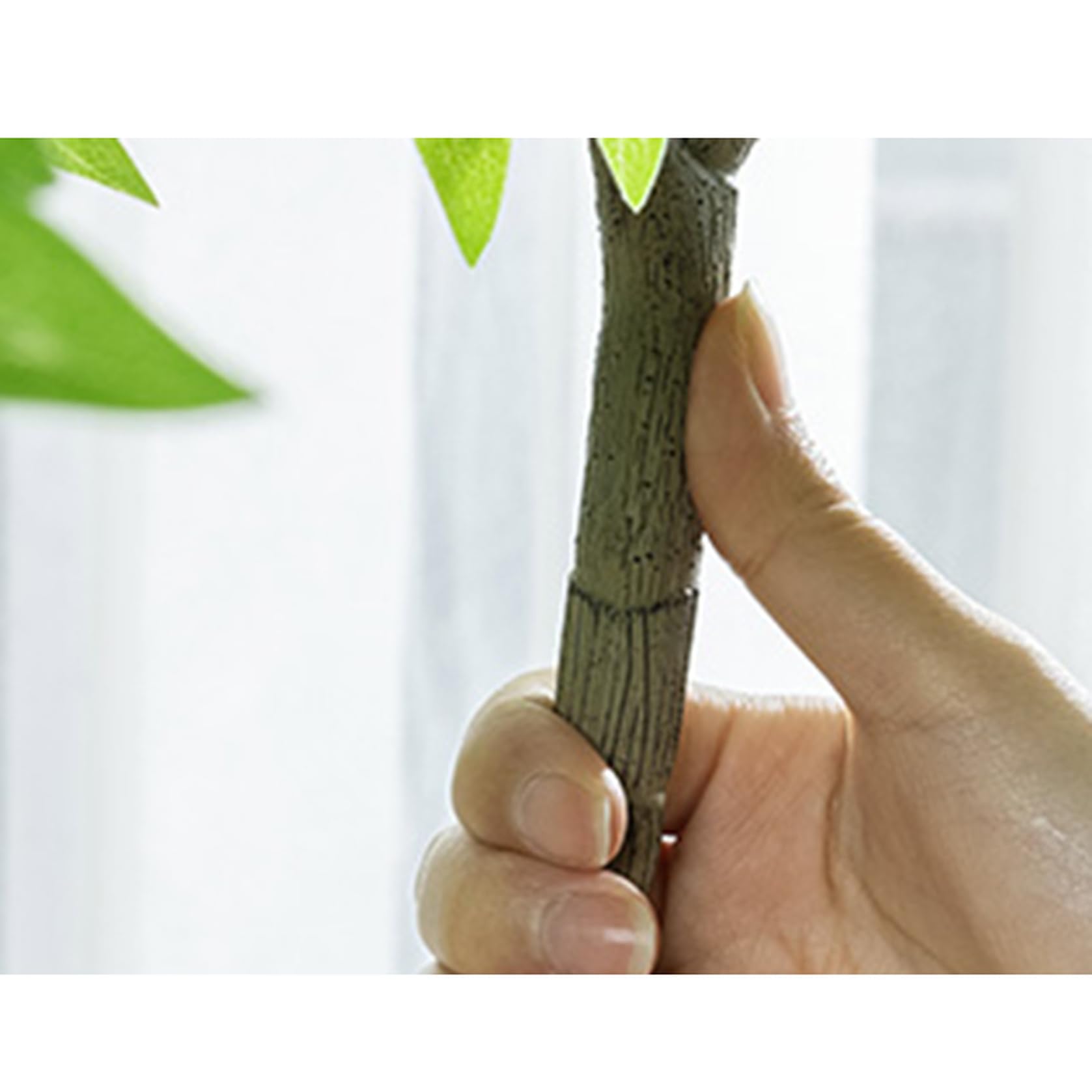 Amazon｜HGJH 人工観葉植物 大型 180CM インテリア 目隠し フェイク