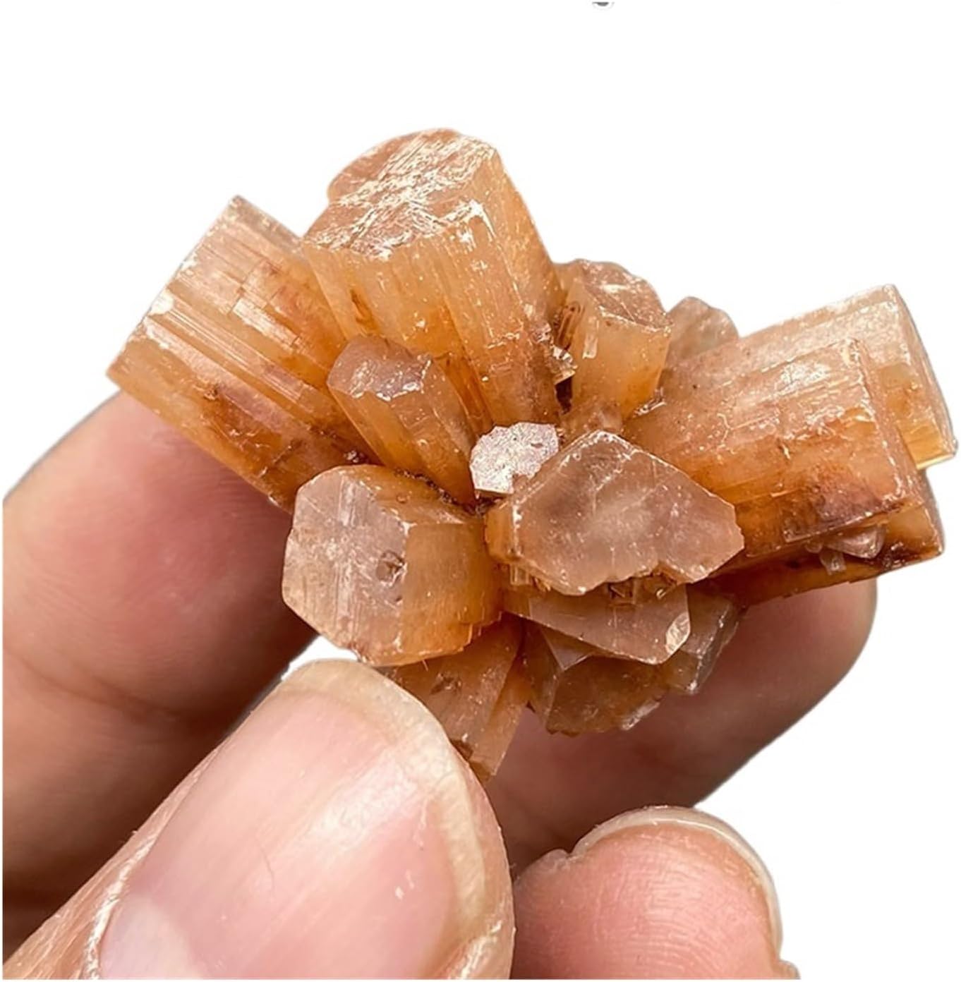 究極品質 現代に蘇った伝説の国産水晶 幻の山梨乙女鉱山産 究極品質 超