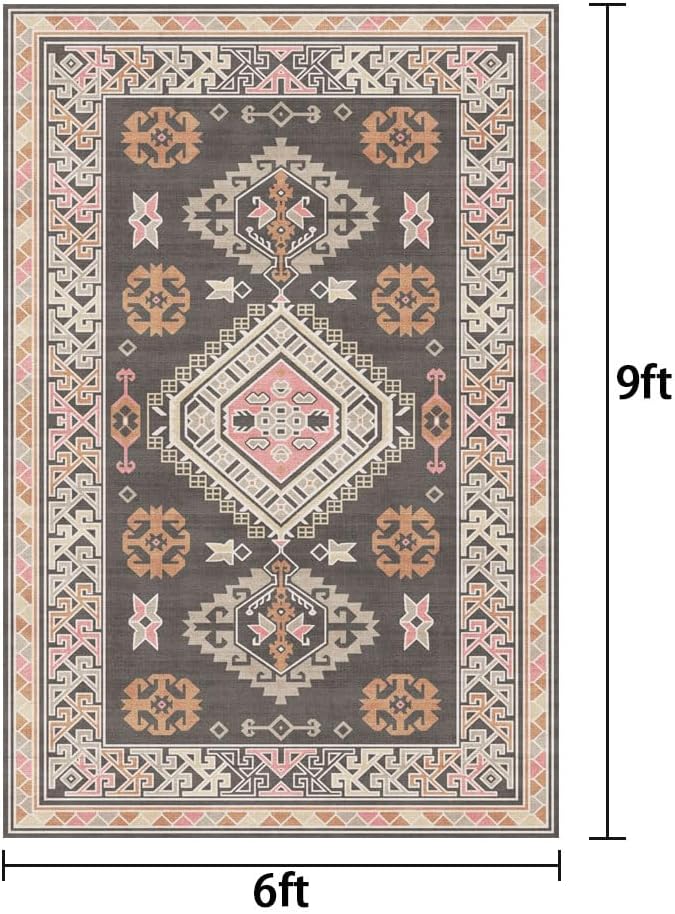 6x9 Area Rugs for Living Room,Super Soft Ultra-Thin Stain Resistant Machine Washable Rugs for Bedroom,Non-Slip Backing Large Area Rug