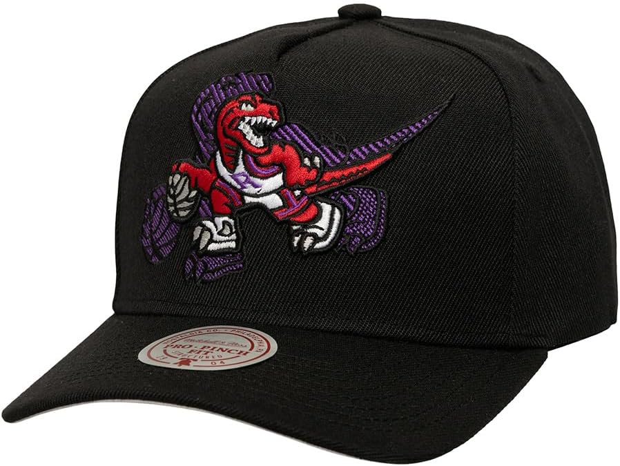 NBA Tilted Pro Snapback Cap Toronto Raptors