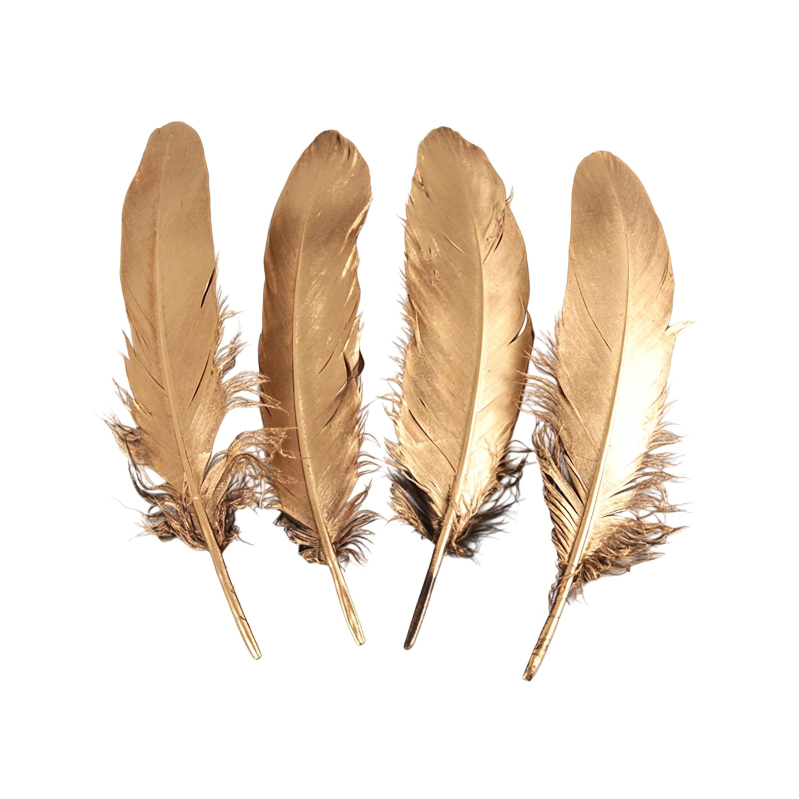 Xjdzineq 50Pcs Gold Sprayed Hard Colorful Plumage for Projects and Party Decorations Craft Supplies