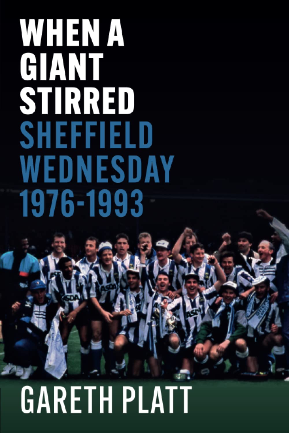 When a Giant Stirred - Sheffield Wednesday 1976-1993 - The Owls football book