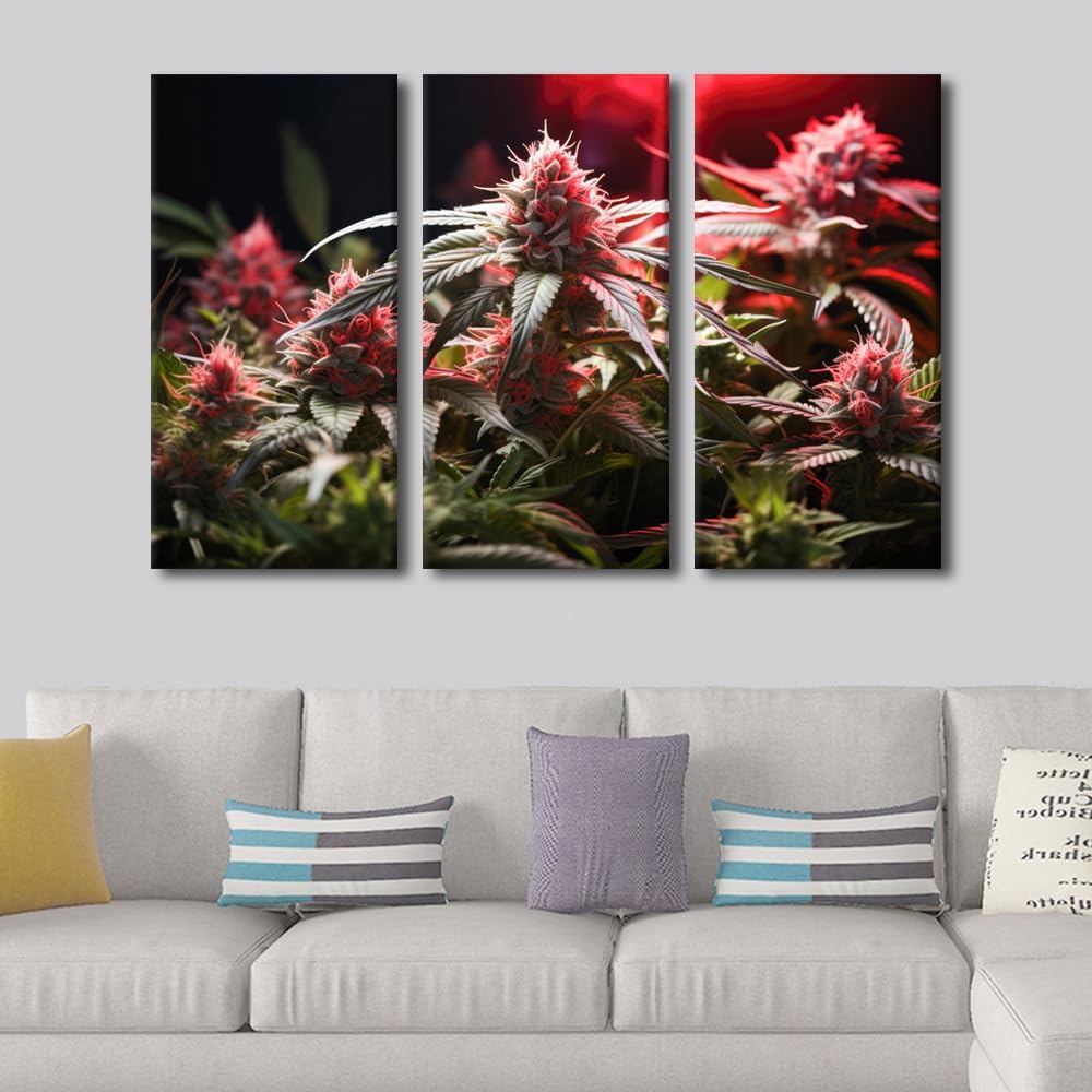 TUMOVO Home Decorations for Living Room Cannabis Wall Decor Marijuana Wall Art 3 Piece Wall Decor Artwork for Walls Large Wall Art Home Wall Decor Stretched And Framed Ready to Hang, 60x40 Inches