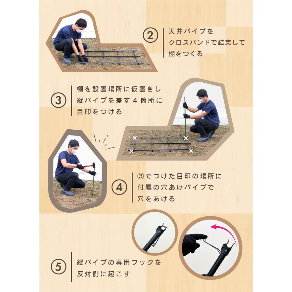 Amazon | DAIM パーゴラ 果物棚 セット 幅180cm 奥行180cm 高さ180cm