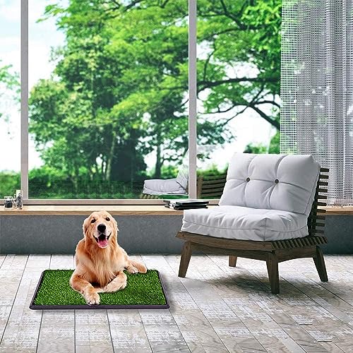 Hundetoilette von Yorking für Welpen und kleine Hunde, wiederverwendbar