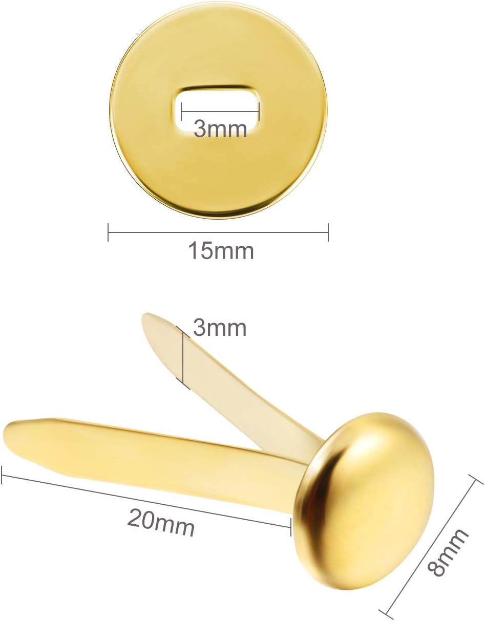 Yaocom 100 Pieces 3/4 Inch Brass Paper Fasteners Paper Brads, and 300 Pieces Plated Brass Washers with Hole Punch (Gold, 20mm Long)