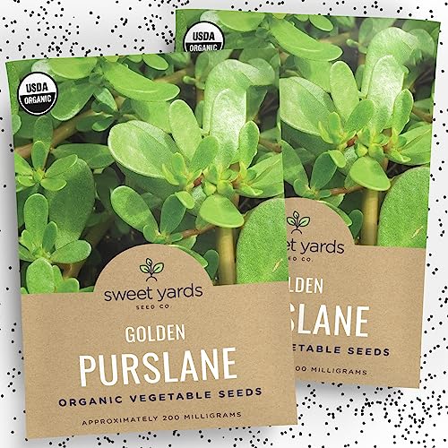 Organic Golden Purslane Seeds - Verdolaga – Two Seed Packets! – Over 1,000 Open Pollinated Non-GMO USDA Organic Seeds - World's Healthiest Green! Organic Golden Purslane Seeds - Verdolaga – Two Seed Packets! – Over 1,000 Open Pollinated Non-GMO USDA Organic Seeds - World's Healthiest Green!