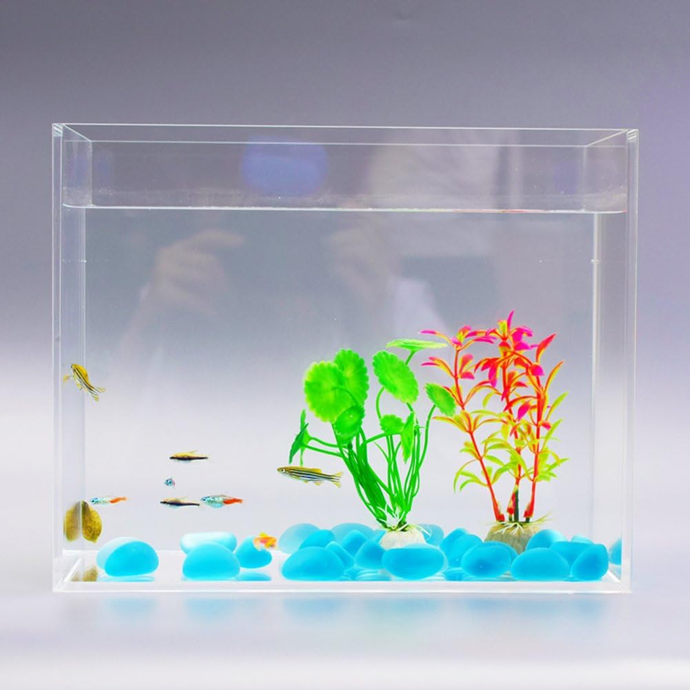 JIANGU, fish tank, desktop, acrylic fish tank, square fish tank, living room aquarium, rain forest cylinder, landscaping micro grass jar