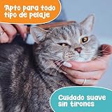 Ver la foto 5