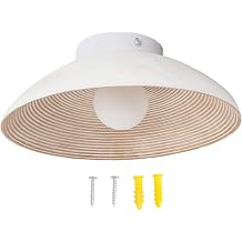 Retro Wall Sconce, Wall Lamp for Bedside Living Room, Japanese Wabi Sabi G9 Wall Fixture with Warm, Wrought Iron Mounted Decorative Lighting