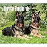 For the Love of German Shepherds 2017 Calendar