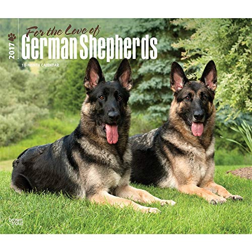 For the Love of German Shepherds 2017 Calendar