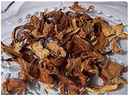 Chanterelle Powder 4 oz