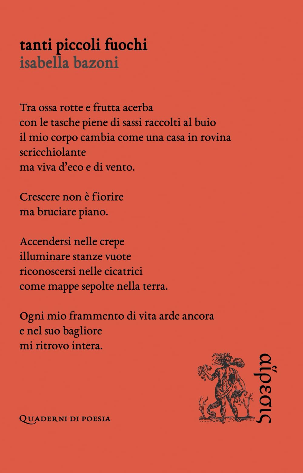 Tanti piccoli fuochi (Quaderni di poesia)
