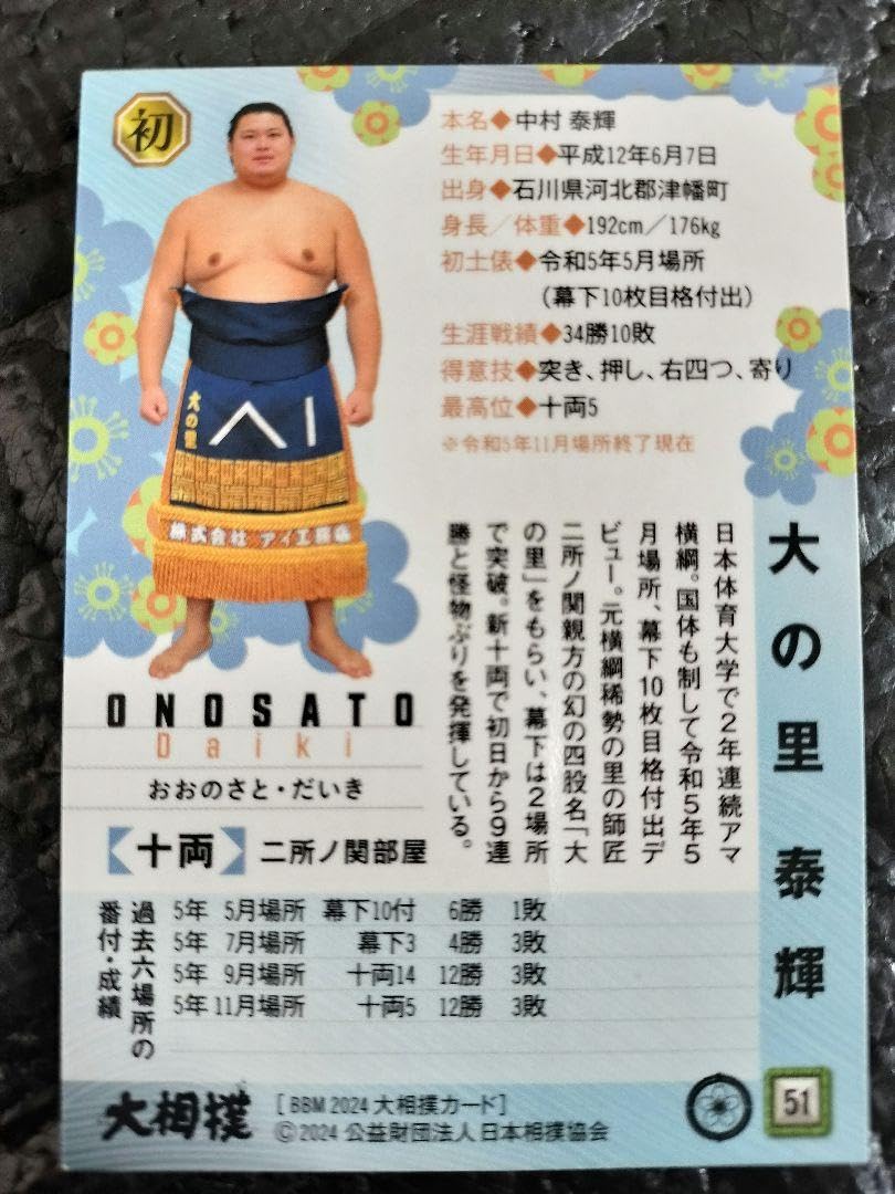 大相撲カード　ノーマルカードのみ　1997〜2000 計741枚 大相撲カード ノーマルカードのみ 1997〜2000 計741枚 トレカ
