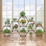 Tikea Plant Stand Indoor Hexagonal Plant Stand for Multiple Plants Indoor Outdoor Large Wooden Plant
