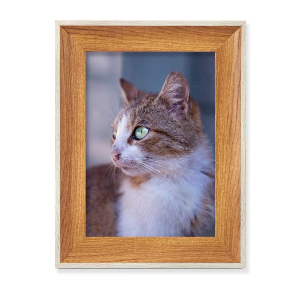 Cadre en Bois Chat Brun et Peinture d'Art Sauvage pour Déco Table